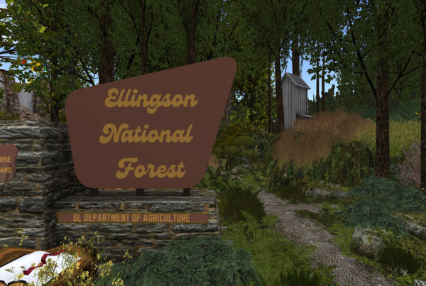 Ellingson national forest sign